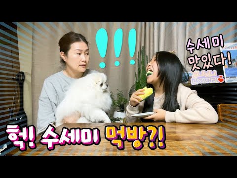 <strong>수세미를</strong> 왜 먹어!! / 수세미떡?