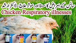 How to Treat Poultry Respiratory Infections | Chicken Farming with Dr. ARSHAD