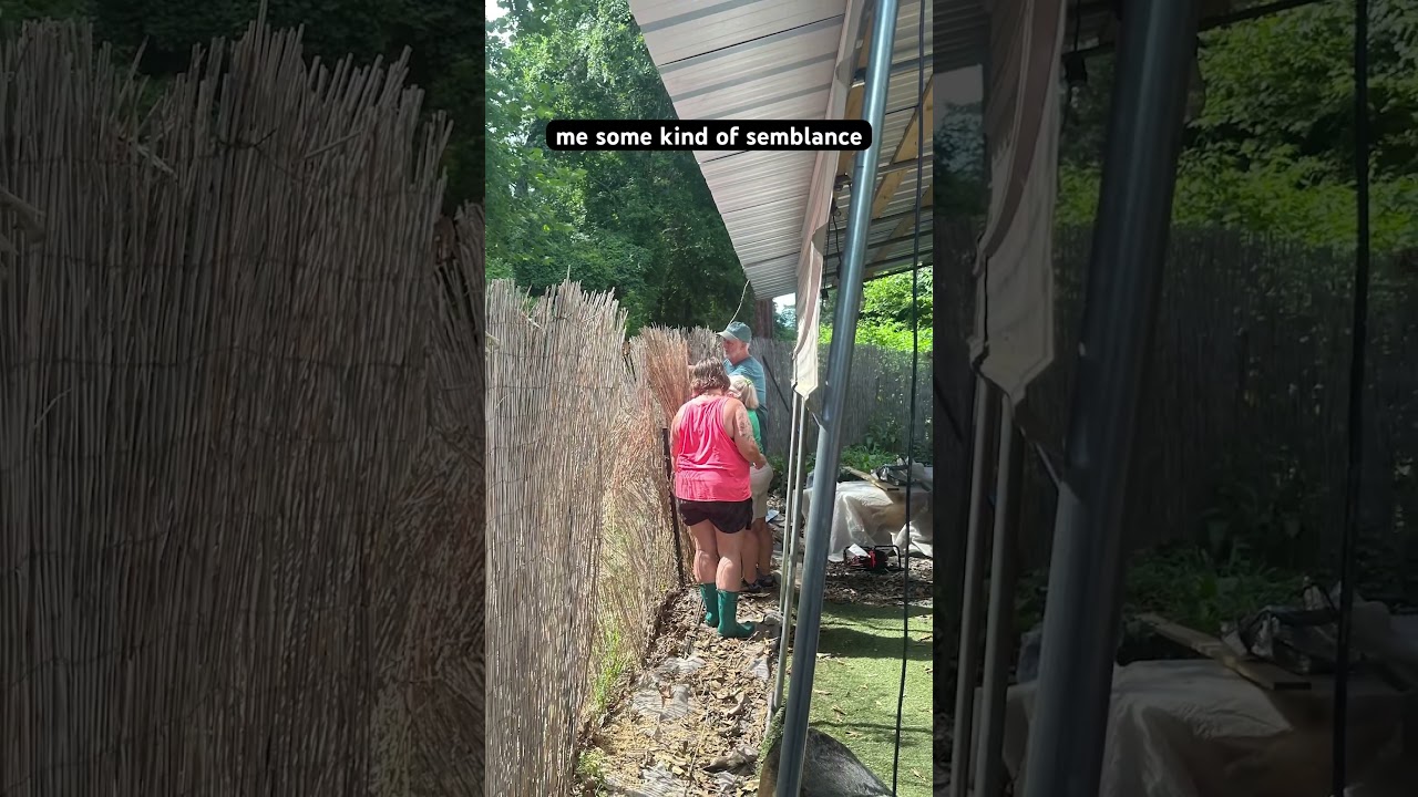 Tree collapse update! 