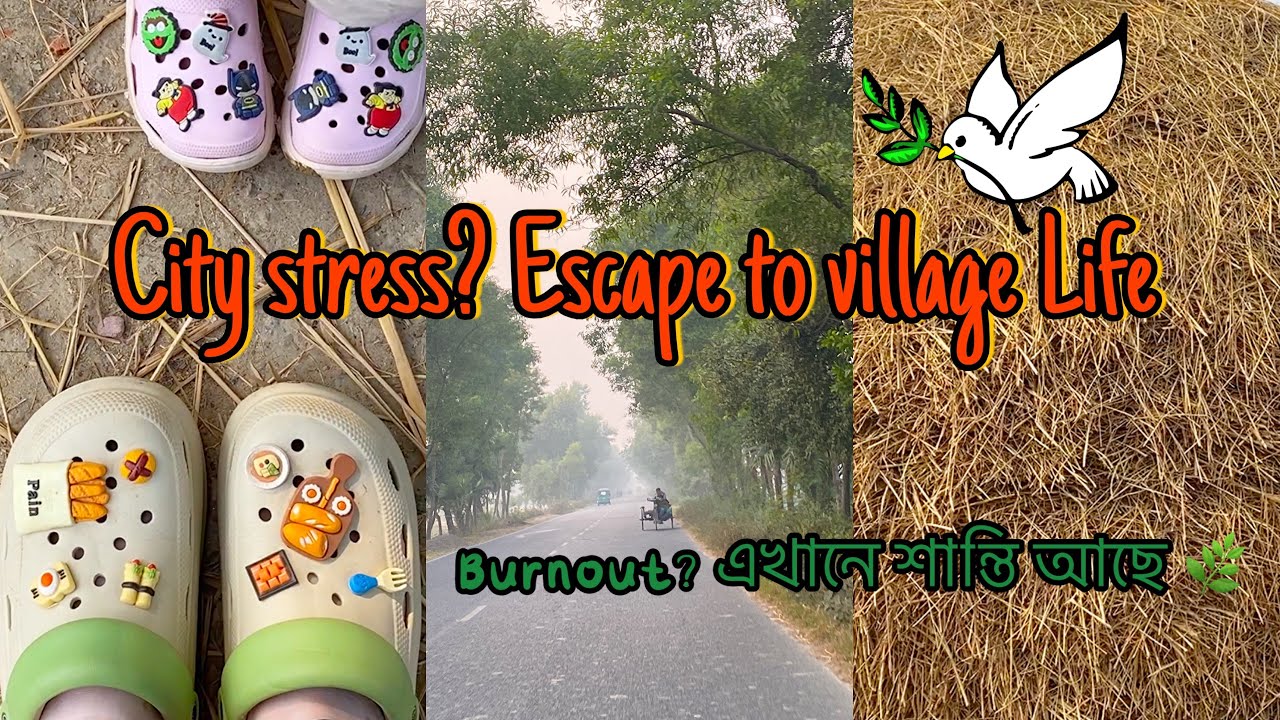 My Village Tour 🌾 | Burnout থেকে মুক্তির জায়গা | Peaceful Rural Escape | Slow Life Bangladesh