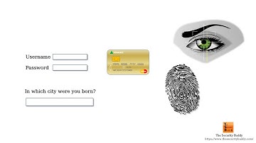 What are Authentication Factors?
