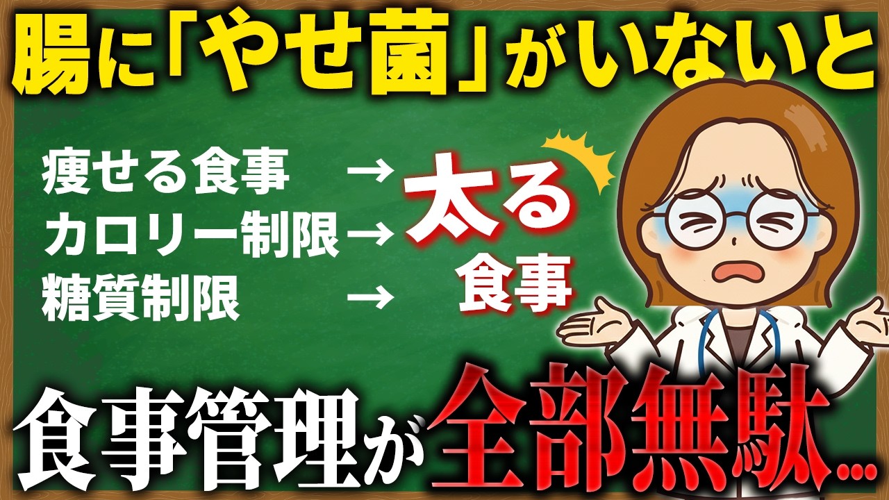 【痩せない理由】腸活で痩せるメカニズムと今日からできる対策を３ステップで解説！