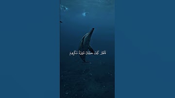 قرآن كريم آيات مريحة للقلب إسلام صبحي راحة نفسية تلاوة خاشعة