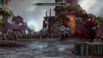 Black Dragon Nest | Project Duck | Rai