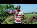 Bhudagala mwana malonja - Lyabhocha (official video) Mp3 Song