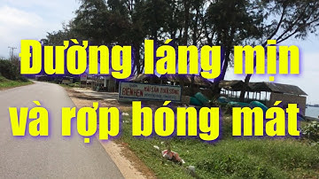 Cung đường ven biển từ Phan Rí tới Chùa Cổ Thạch mà ít ai biết | Phượt bụi 19