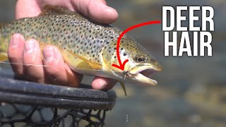 Using DEER HAIR Flies to Catch Trout