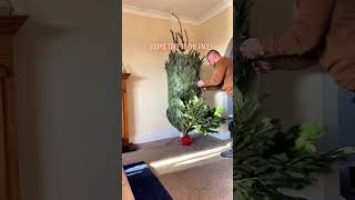 Failed Christmas tree #youtubeshorts #funny #foryou #fail