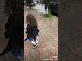اتهياتا على اغنيه رحا جميله بصراحة تتحب اتهياتا على اغنيه رحا جميله بصراحة تتحب