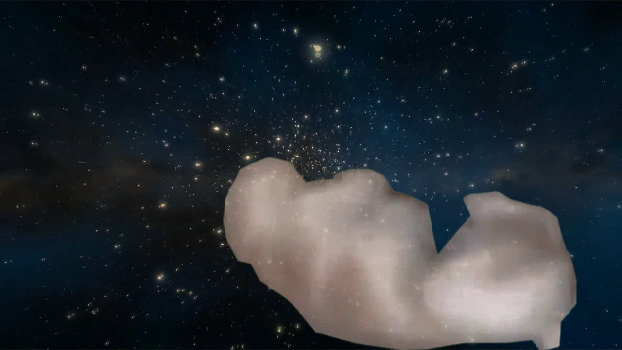 Shooting Stars Dog falls down stairs YouTube