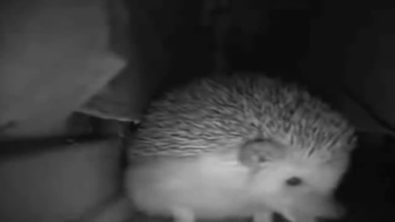 не нажимай суда!