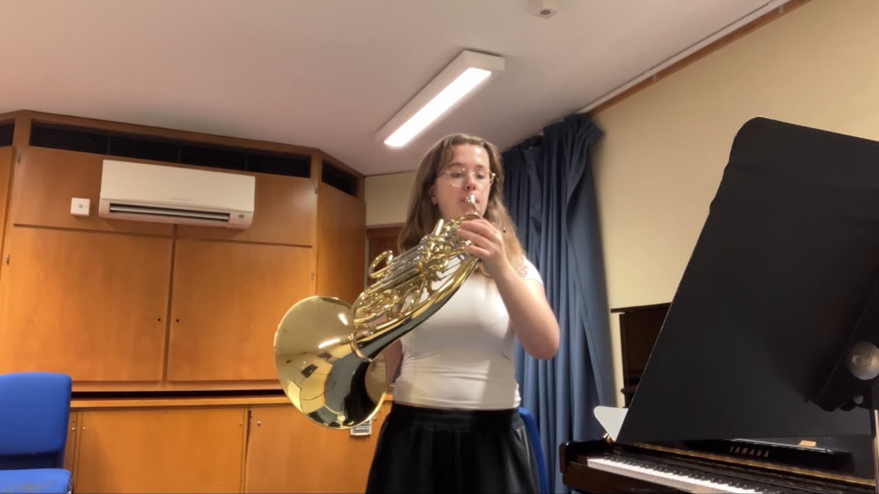 German-Nordic Youth Philharmonic Audition 2025