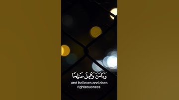اكتب شي تؤجر عليه❤❤#قرآن#سورة_طه#شريف_مصطفى