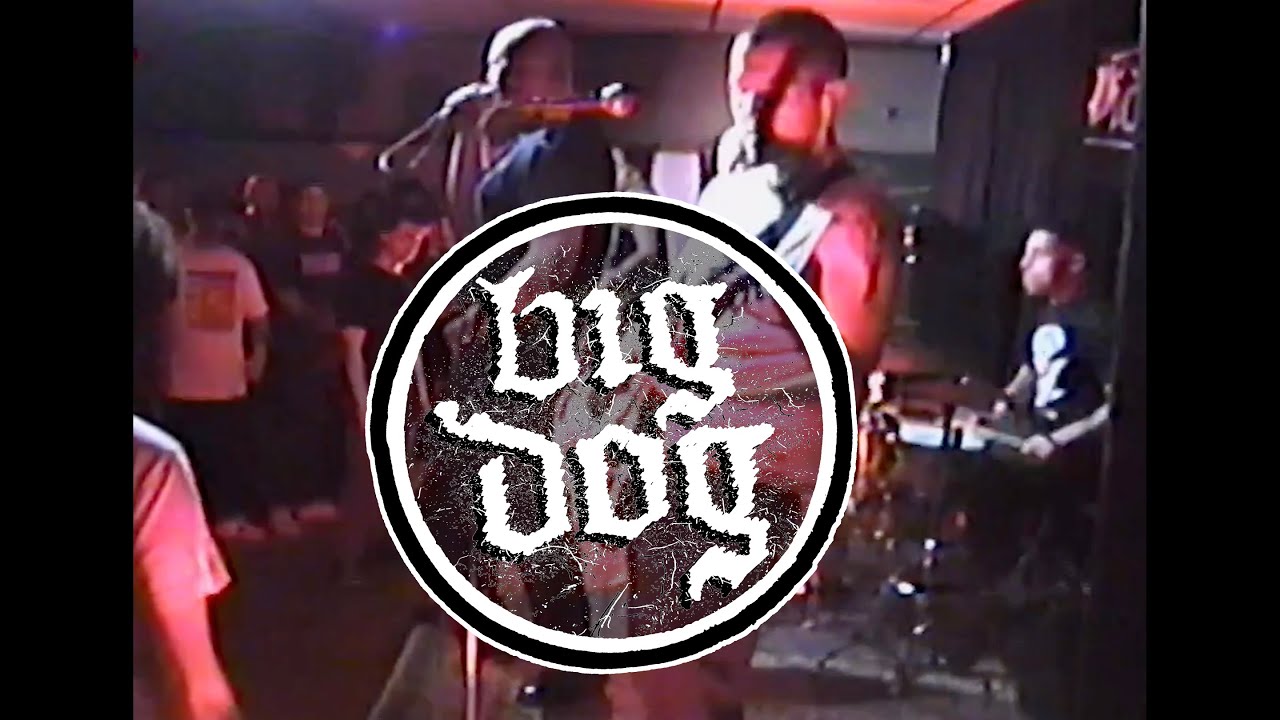BIG DOG - the firm 6.10.23