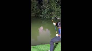 🔥Live Fishing: Catching Big Fish Today! 🎣