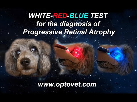 White-Red-Blue test for PRA / White-Red-Blue тест для диагностики Прогрессирующей атрофии сетчатки