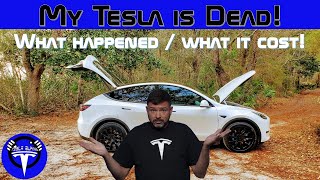 My Tesla is Dead!
