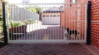 How to Install Electric Solar Automatic Gate Opener Motor Actuator Remote Control Kenner KNL01