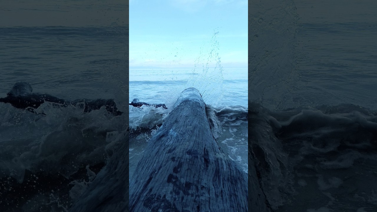 কি সুন্দর এই দৃশ্য ❤️❤️❤️👀 #love #song #vido