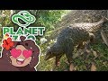 Preparing for PANGOLINS!! 🐼 Daily Planet Zoo! • Day 11