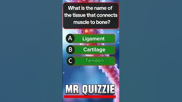 #mindbendingquiz #quiz #quiztime #quizchallenge #challenge #trivia #triviatricks