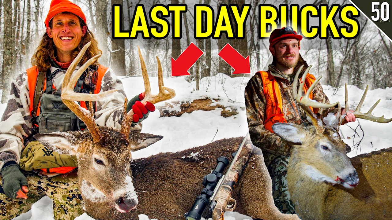 BIG BUCK Holds Tight in a DEER DRIVE! (He’s Surrounded!) - YouTube