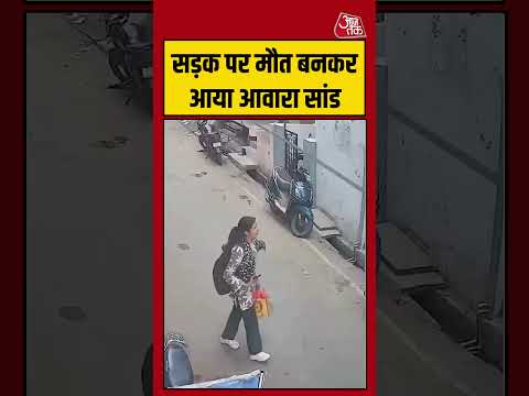 Viral Shorts | सड़क पर मौत बनकर आया आवारा सांड #viral #shorts #trending #ATShorts