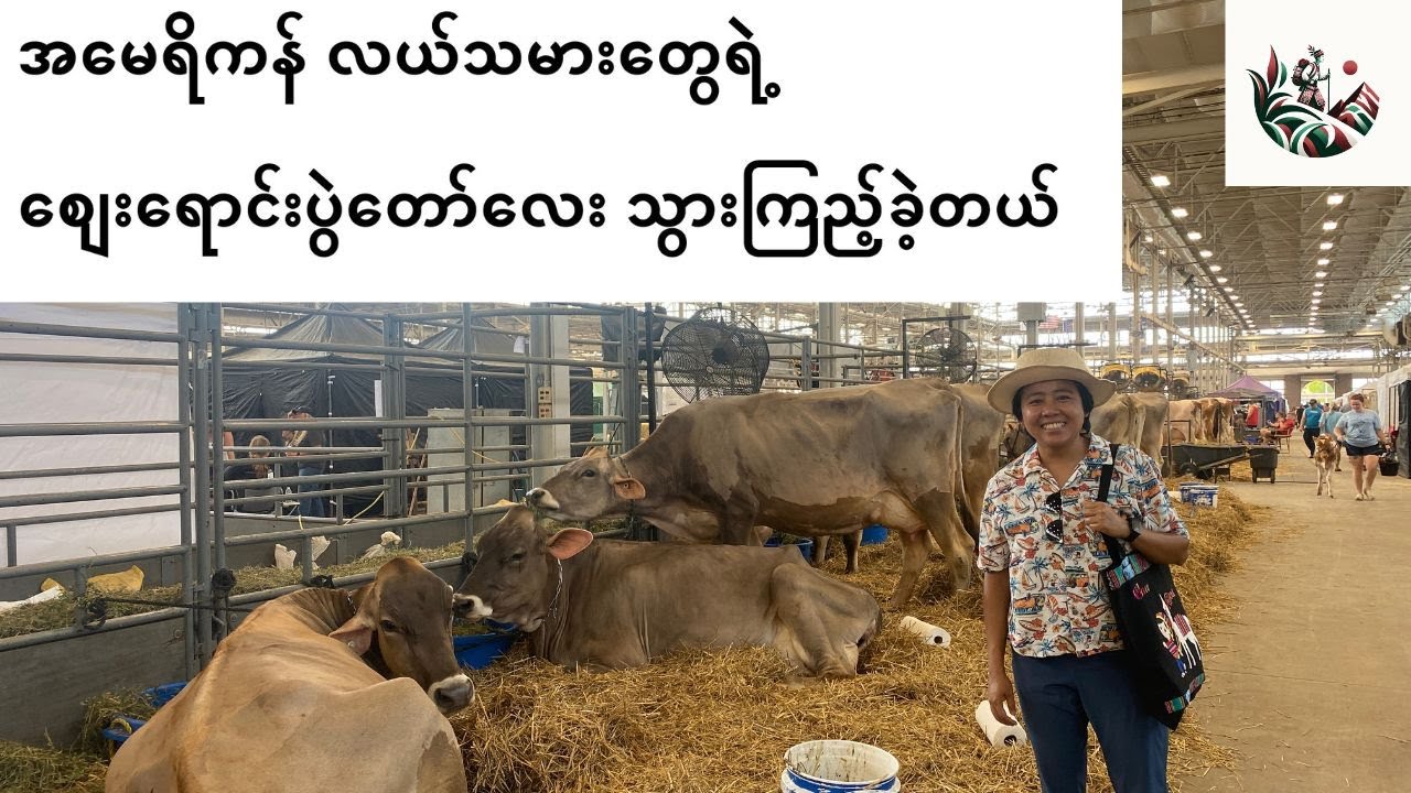 အမေရိကန် လယ်သမားတွေရဲ့ စျေးပွဲတော် Indy State Fair 2025