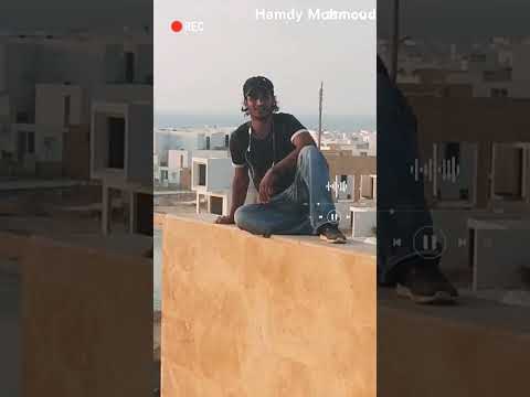 لله سلمت الامر