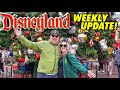 DISNEYLAND UPDATE! WHAT NEW THIS WEEK? Christmas Tree is BACK for 2022! More New Merch,Treats & RAIN