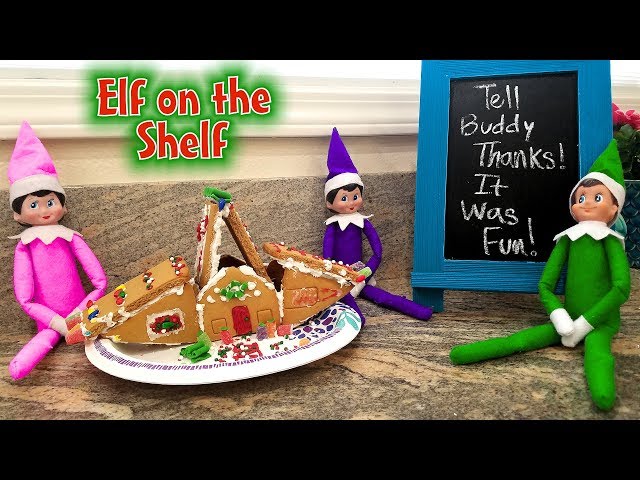 Jo and Sparky - Lidl GB thank you for basing your new Elf on a Shelf on me!  Love from the real Sparky x