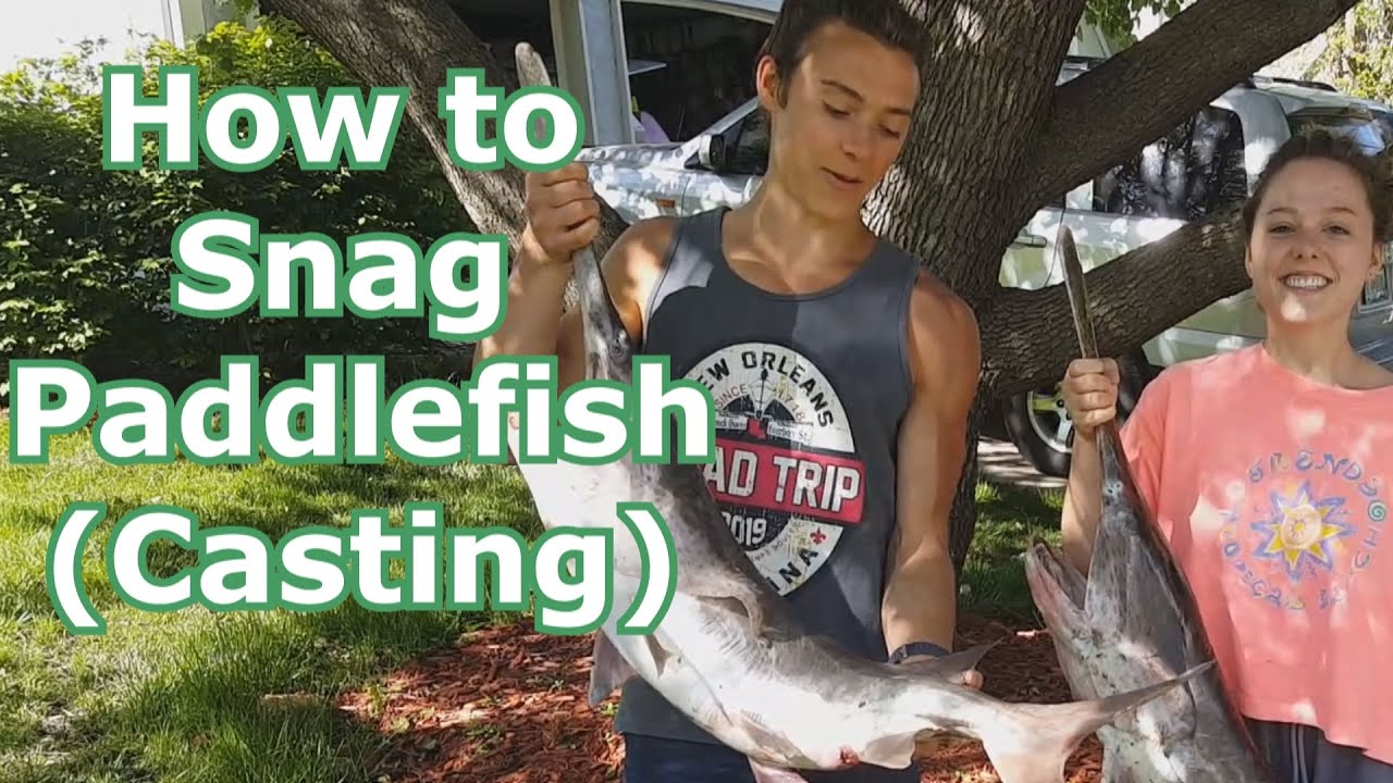 How to Snag and Catch Paddlefish (Spoonbill) by Casting from the Bank 