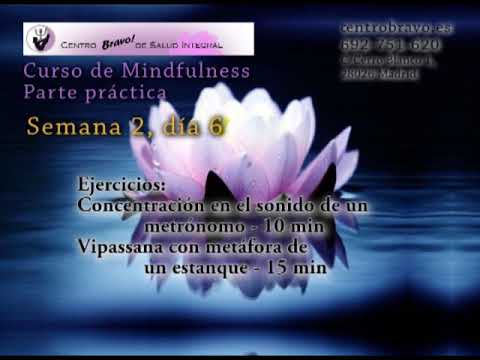 Curso Mindfulness Práctica Semana 2 día 6