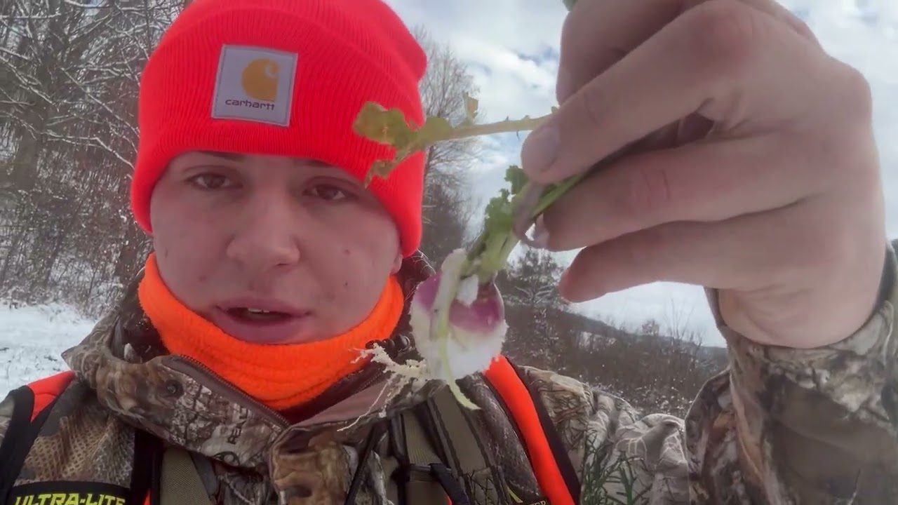 Turnips and deer with Zane