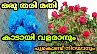 പെട്ടെന്ന് കുറേ ശിഖരങ്ങൾ വന്ന്  പൂകൊണ്ട് നിറയാൻ | Best Pesticide screenshot 2