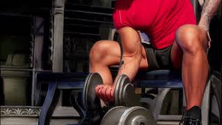 Automated Dumbbell Concentration Curl (Morphic Field)