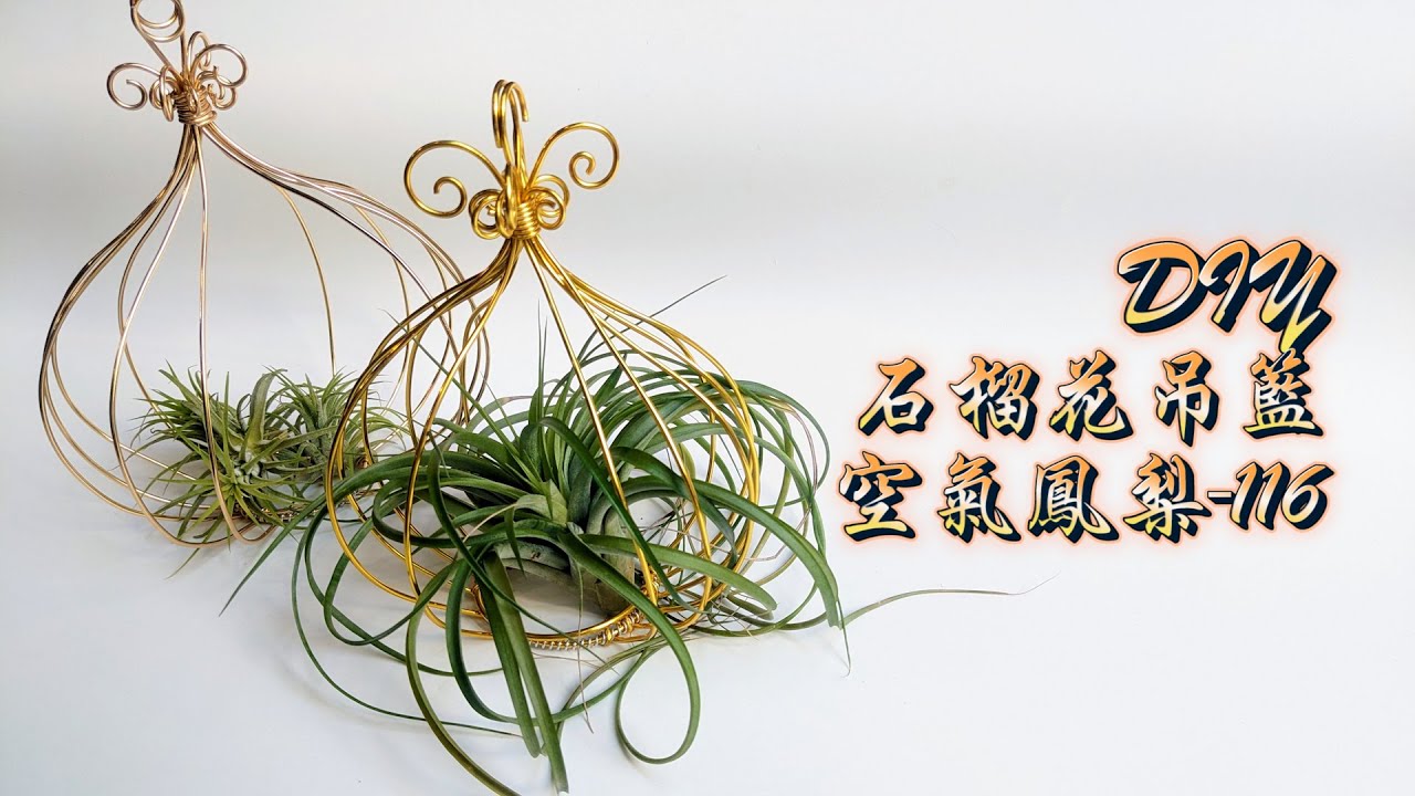 DIY wire 教你如何使用彩色鋁線製作空氣鳳梨 石榴花吊籃 How to make Aluminum wire Air plant flowerstand pomegranate flower