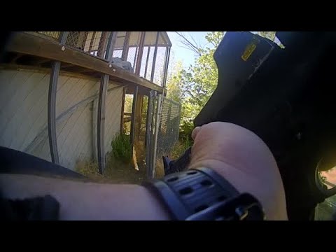 Body camera footage shows moments leading up to chimp being killed