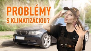 Výmena Prachovky A Dorazy Tlmičov na RENAULT CLIO - triky na výmenu