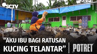 Viral, Dita Rela Merawat Ratusan Kucing Telantar, Bahkan Dibangun Juga Rumah Khusus Kucing! | Potret