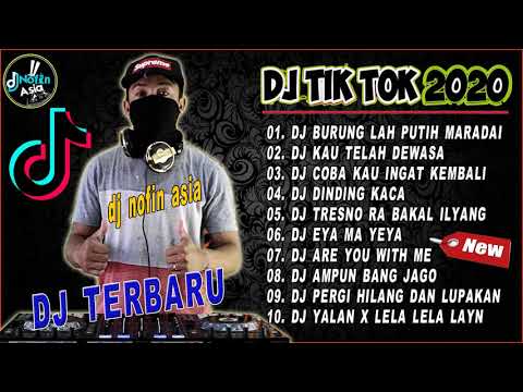 DJ TIK TOK TERBARU 2020   DJ BURUNG LAH PUTIH MARADAI