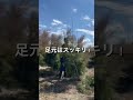 ティーツリーの仲間 カッパーグローの剪定を紹介! 為になったって思った方はチャンネル登録お願いします😊
