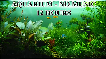 Dream Aquarium Fish Tank with water sounds No Music No Ads - 12 Hours | Aquarium Sounds For Sleeping