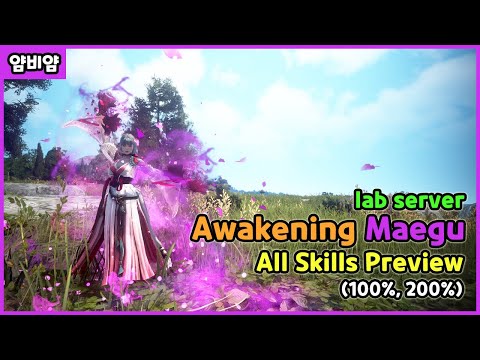 Capa de BDO) 각성매구 모든 스킬 영상 (흑정 100%, 200%) / Awakening Maegu  All Skills (100%, 200%)