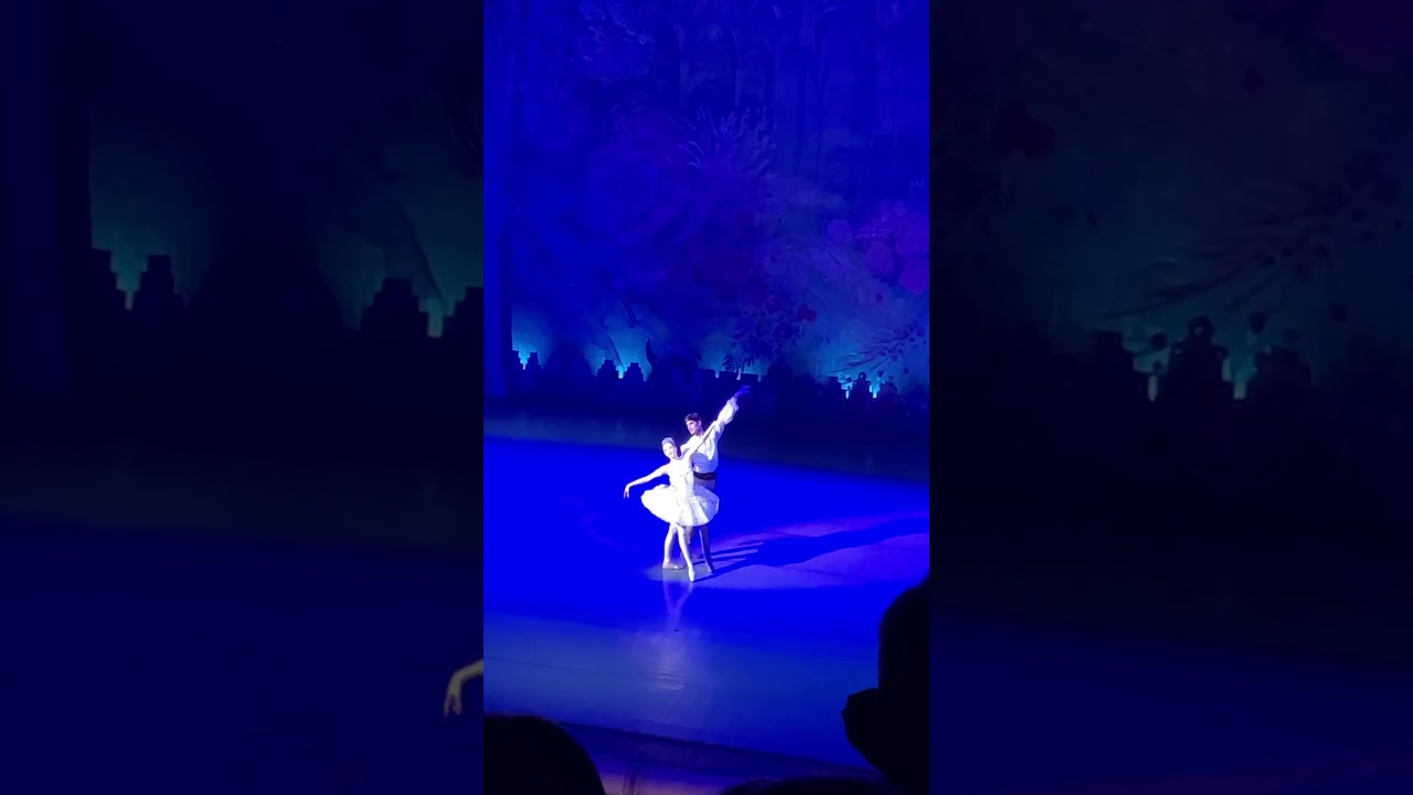 Медора(Миклуха Катерина), Конрад (Ваня Ян)