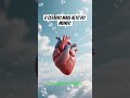 25 de fevereiro de 2026