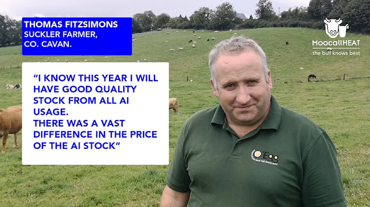 Suckler farmer Thomas Fitzsimons on Moocall HEAT