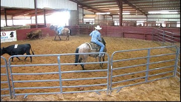 Valley View Ranch - Miss Peppy Pecas - sorting 3