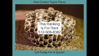 Pest Control Taylor Prices | Pest Control Cost in Taylor