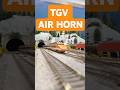 REE TGV Slow Pass 